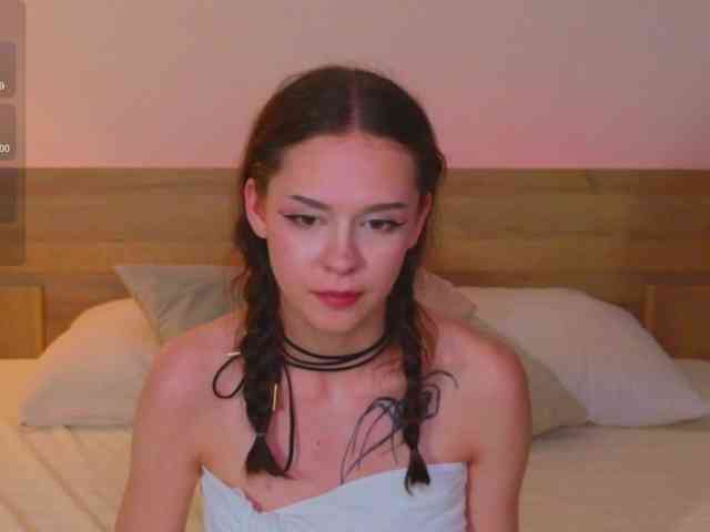 Adetta webcam