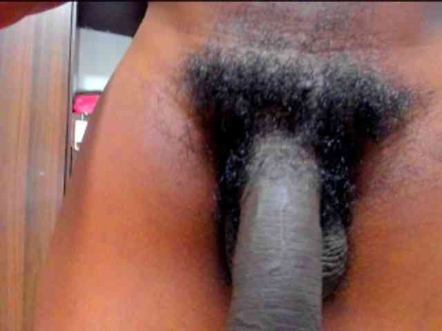 dreamastercum dreamastercum