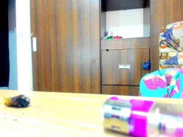 dreamastercum