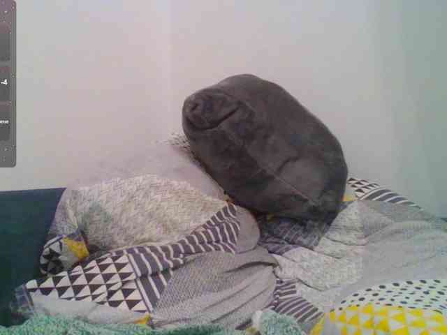 your-honeyy your-honeyy