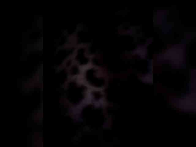 DiVona webcam