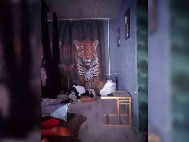 DiVona webcam