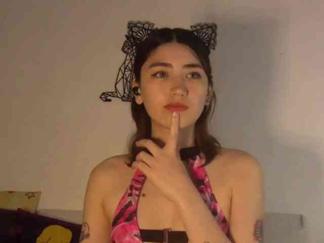 Cutekittyy Cutekittyy