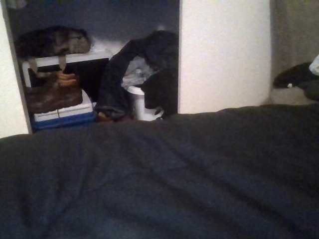 415cherry webcam