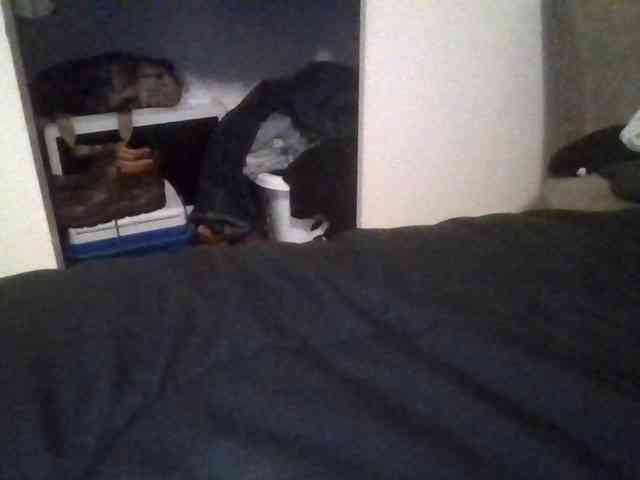 415cherry webcam