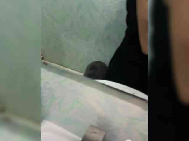 Nikitka16645 webcam