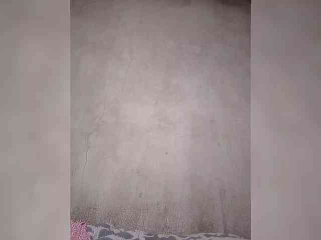 Freakymess webcam