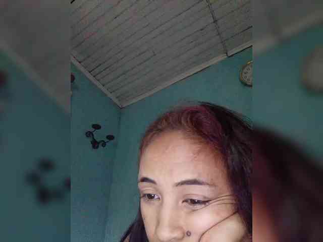 Reinewallashy3 webcam