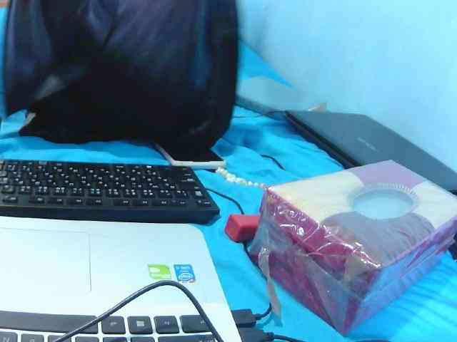 Reinewallashy3 webcam