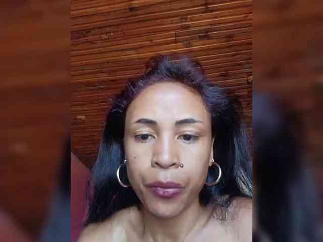 Reinewallashy3 webcam