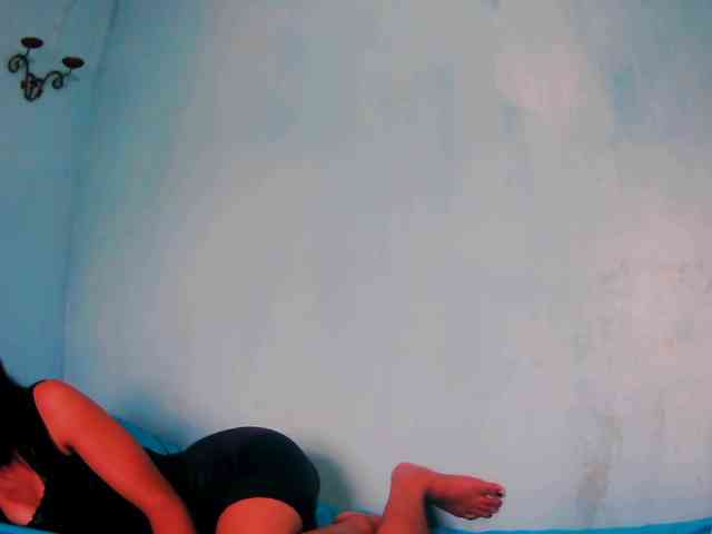 Reinewallashy3 webcam