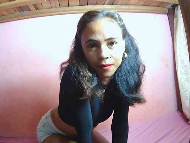Reinewallashy3 webcam