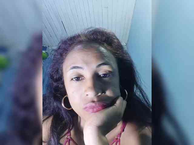 Reinewallashy3 webcam