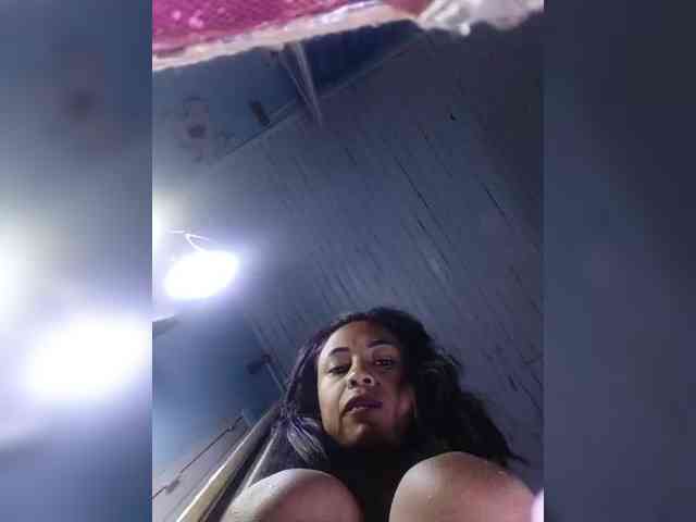 Reinewallashy3 webcam