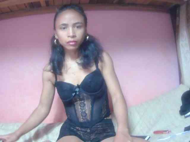 Reinewallashy3 webcam