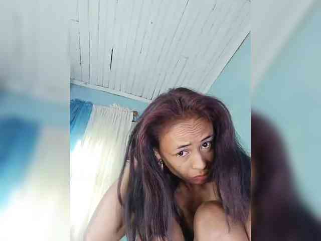 Reinewallashy3 webcam