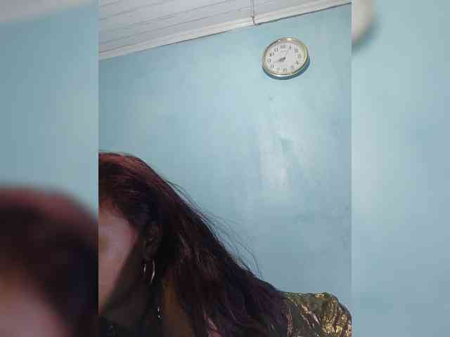 Reinewallashy3 webcam