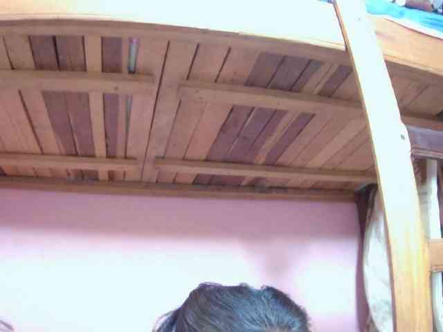 Reinewallashy3 webcam