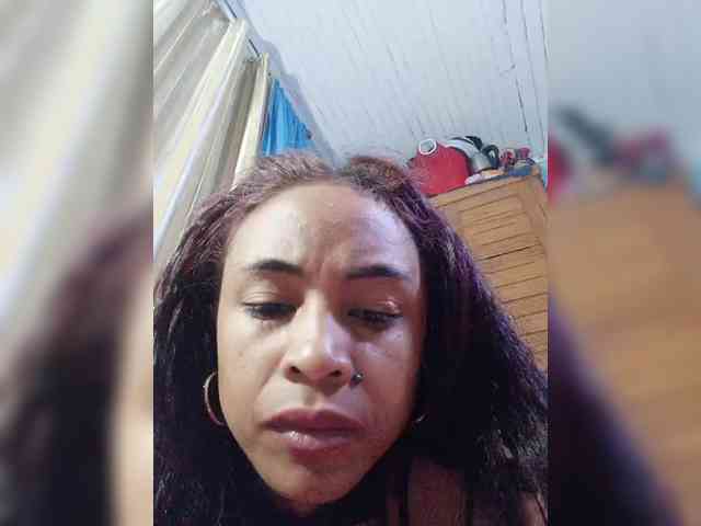 Reinewallashy3 webcam