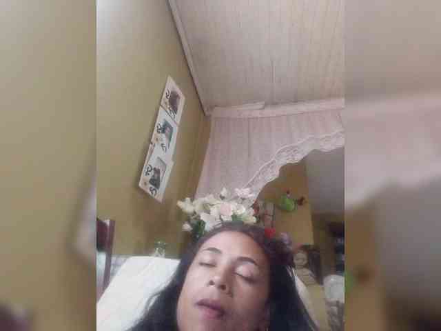 Reinewallashy3 webcam