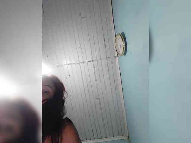 Reinewallashy3 webcam