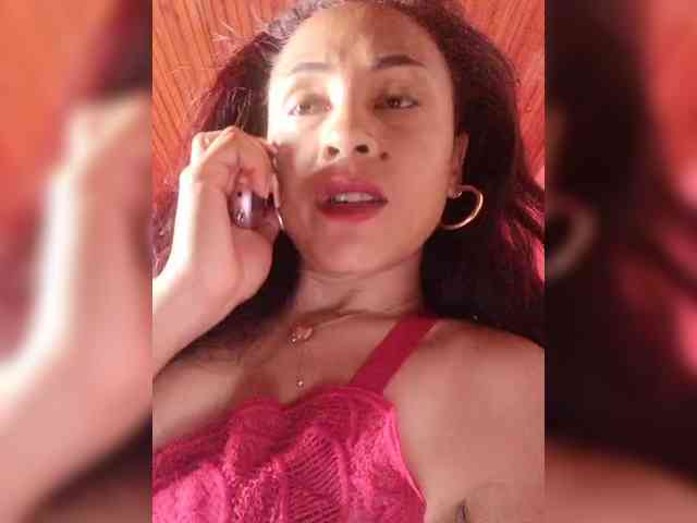 Reinewallashy3 webcam