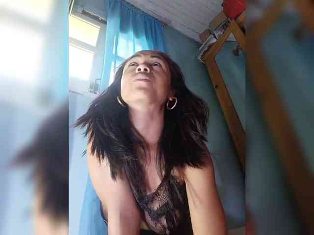 Reinewallashy3 webcam