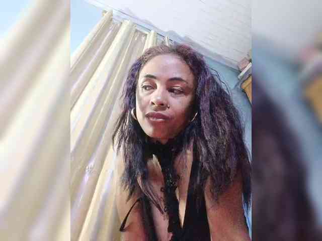 Reinewallashy3 webcam