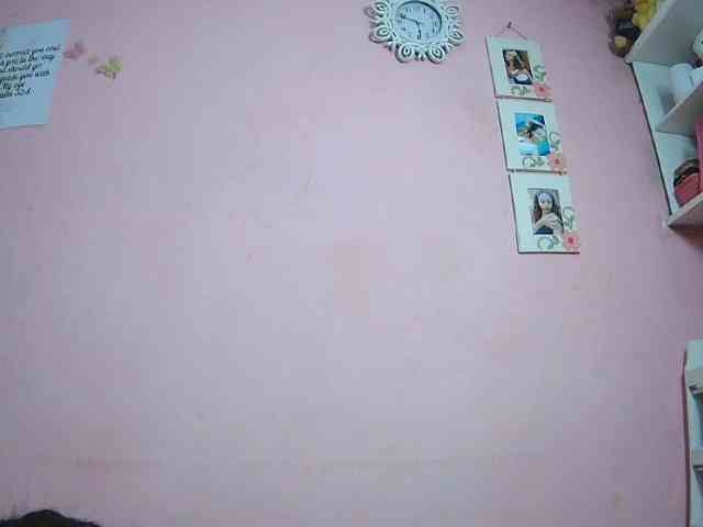 Reinewallashy3 webcam
