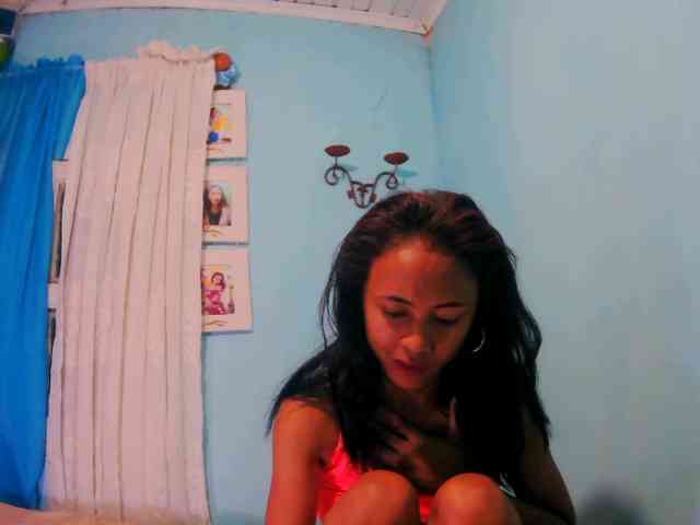 Reinewallashy3 webcam