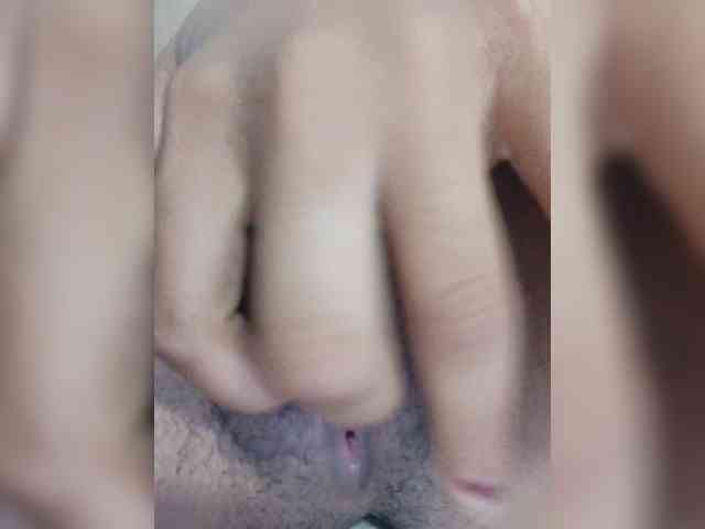 Reinewallashy3 webcam