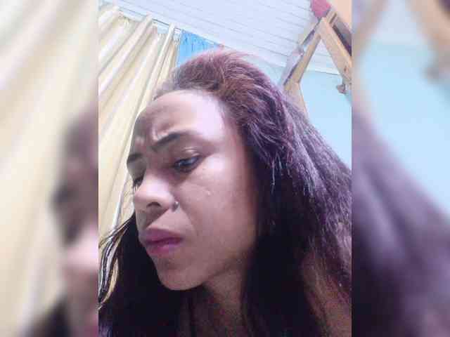 Reinewallashy3 webcam