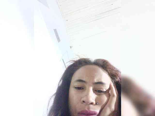 Reinewallashy3 webcam