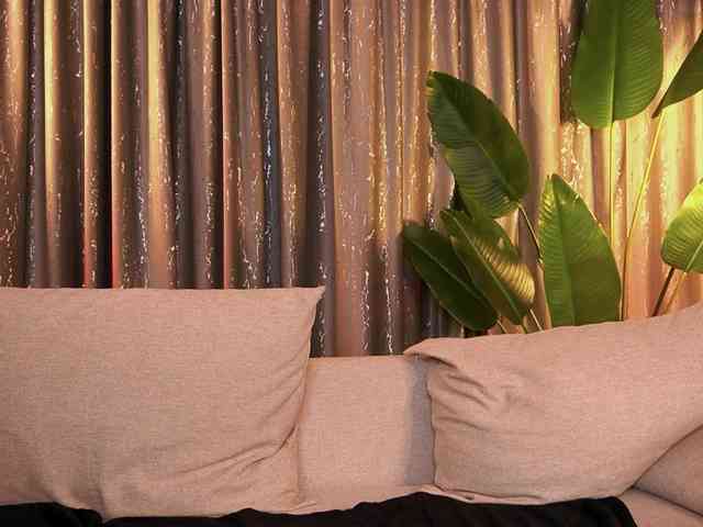 ShyCollegeBB ShyCollegeBB