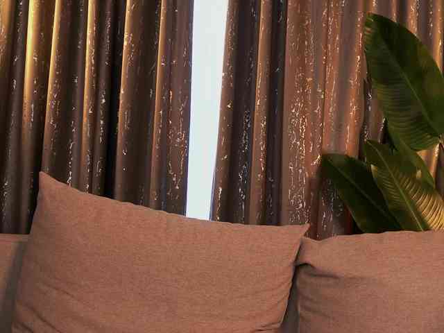 ShyCollegeBB ShyCollegeBB