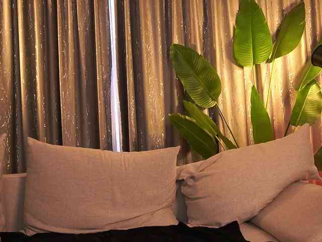 ShyCollegeBB ShyCollegeBB