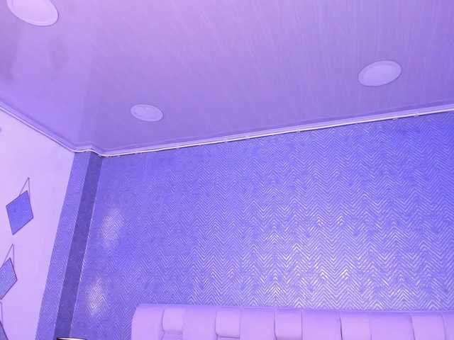  luz-sp chat room