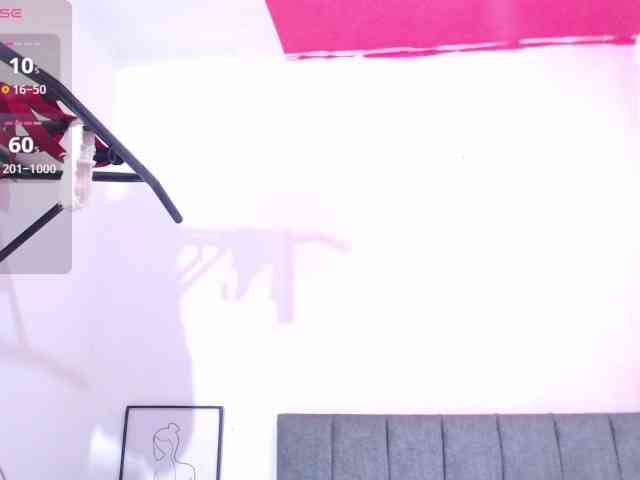 RooseTaylor webcam