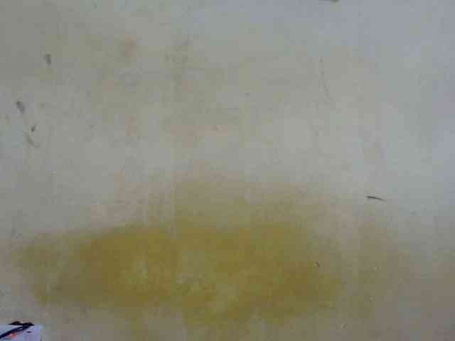 dark-princess1 webcam