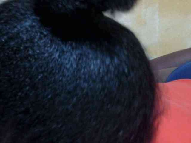 dark-princess1 webcam