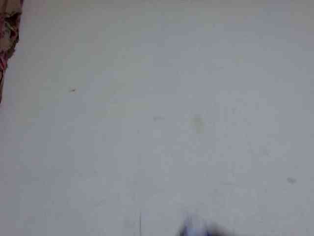 dark-princess1 webcam