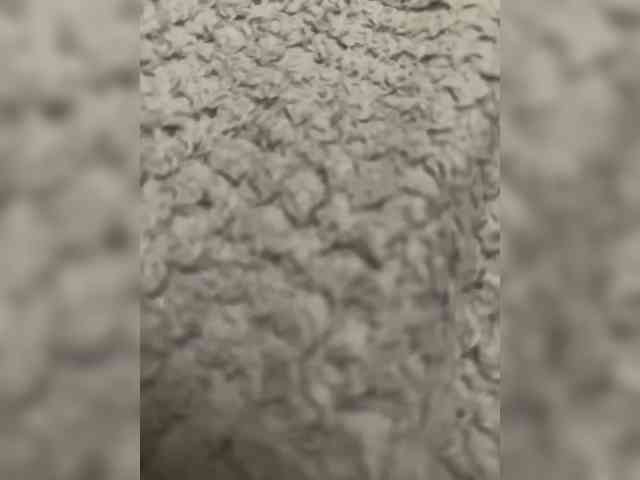 Stitch7873 webcam