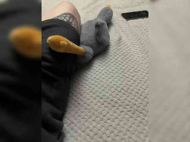 real web cam show Stitch7873