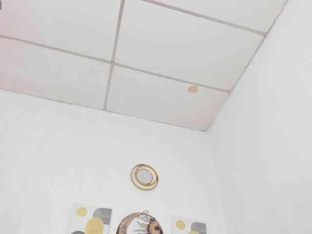 Модель: AnnPrices
