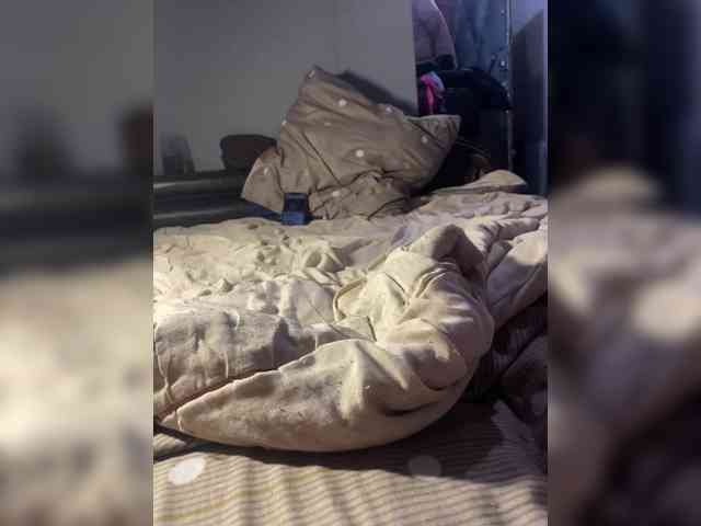 MaxValer webcam