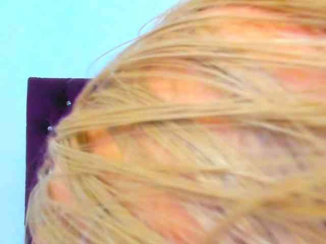Ghanima webcam