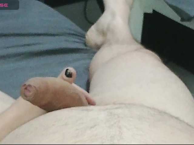 MrJamesBrazilHotShyBear