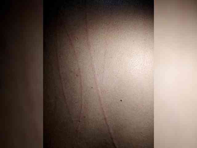 MrJamesBrazilHotShyBear webcam