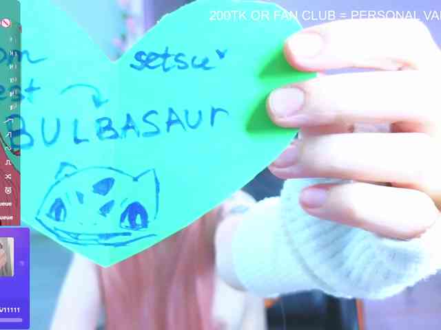 Setsunai webcam