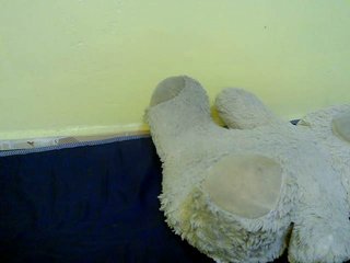 sexybounty2 Porn Show